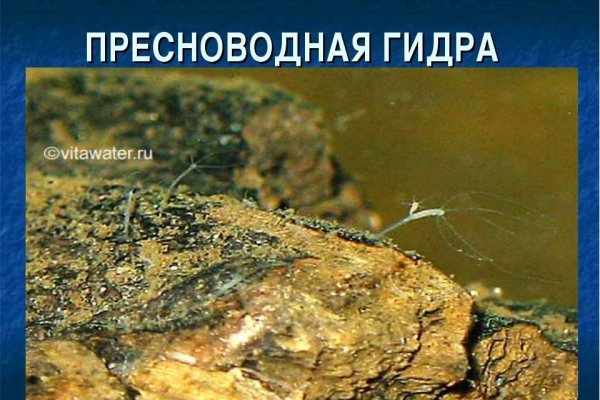 Кракен вход