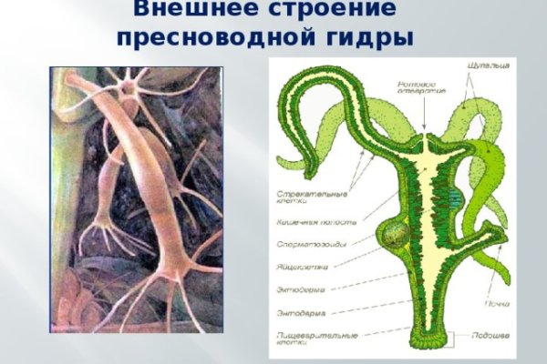 Кракен ссылка kraken