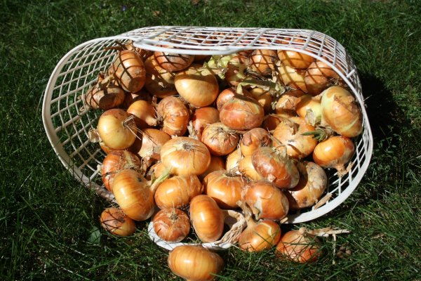 Кракен ссылка на сайт com