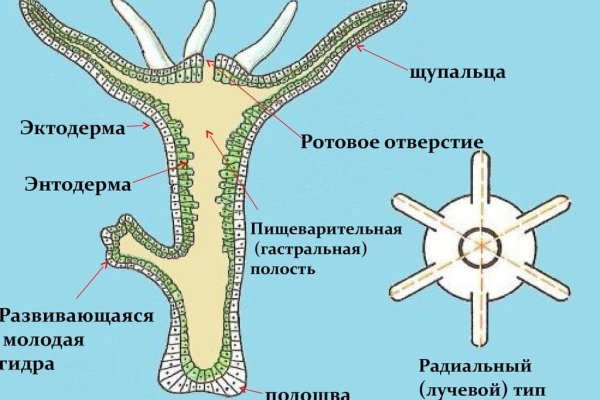 Кракен мефедрон