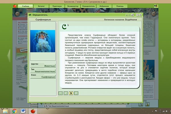 Как зайти на кракен дарк
