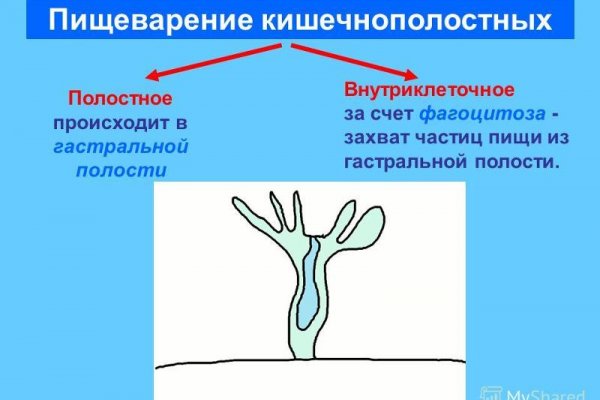 Сайт кракен рабочая ссылка