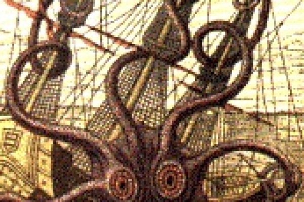 Kraken 20at net