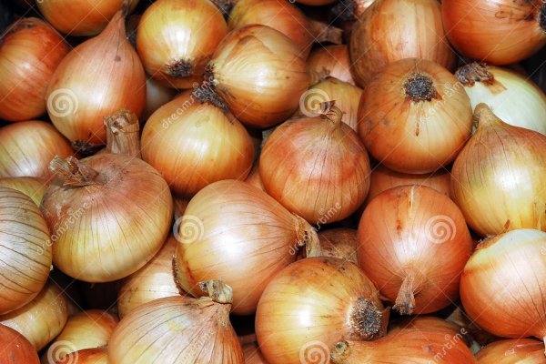 Kraken onion ссылка