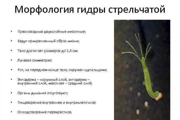 Кракен зеркало gigageek ru