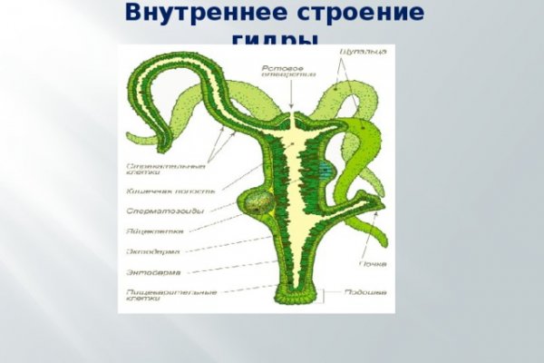 Кракен тор ссылка сегодня